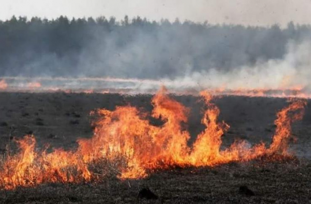 На Львівщині протягом доби рятувальники ліквідували 29 пожеж сухостою
