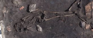 Один із знайдених скелетів.