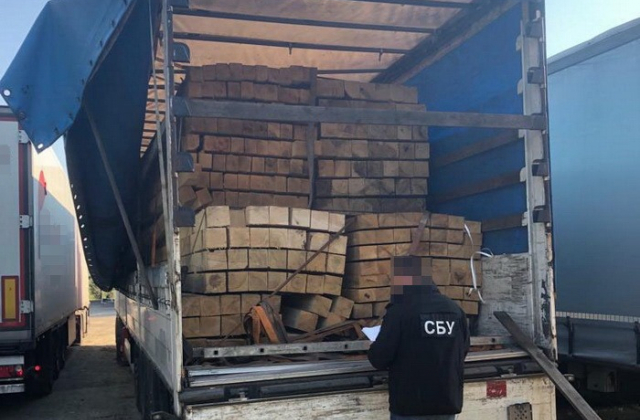 На Закарпатті викрили схему контрабанди лісоматеріалів за кордон. Фото: СБУ