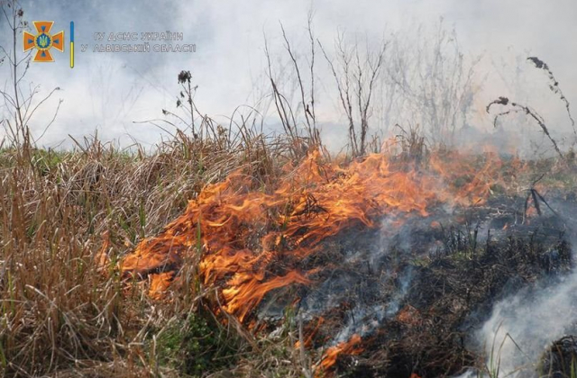 Протягом доби на Львівщині зафіксували шість пожеж сухої трави