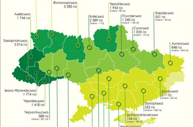 Відтворення українських лісів у першому півріччі 2019 року