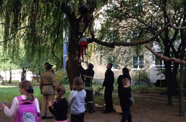 У Львові рятувальники зняли з дерева хлопця