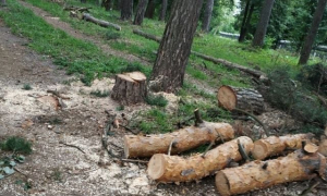 фото - пресслужба Національної поліції Тернопільської області