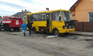 Фото надане Головним управлінням ДСНС України у Львівській області.