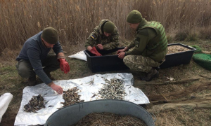 Фото: Держприкордонслужба