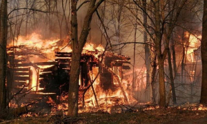 Пожежа у зоні відчуження