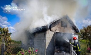 Фото: ДСНС Львівської області