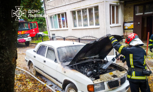 Фото: ДСНС Львівщини