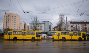 Фото Олени Ляхович