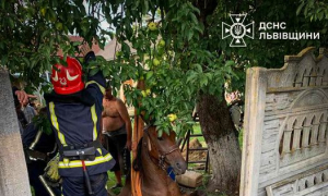 Фото: ДСНС Львівщини