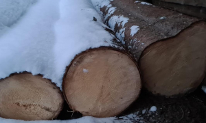 Фото поліція Львівської області