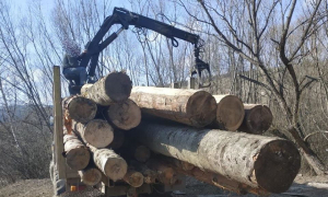 Фото: поліція Львівської області