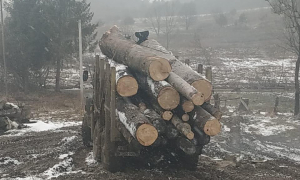 Фото: поліція Львівської області