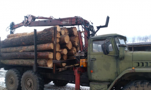 Фото: поліція Львівської області