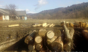 Фото: поліція Львівської області