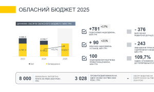 Інфографіки Львівської ОВА