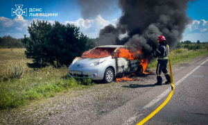 Фото: ДСНС Львівщини