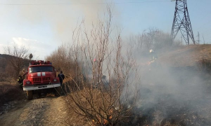 Фото: ДСНС Львівської області