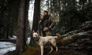 Фото: Держприкордонслужба