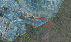 Розташування ділянок в Брюховичах, які фігурують у розслідуванні.