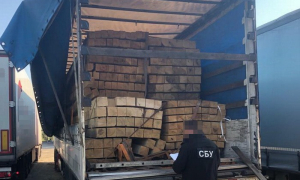 На Закарпатті викрили схему контрабанди лісоматеріалів за кордон. Фото: СБУ