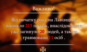 На Львівщині з початку року на пожежах загинуло 20 людей