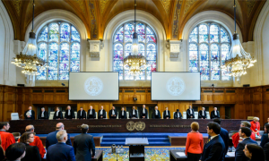 Одне зі слухань справи в Міжнародному суді. Палац миру, Гаага, 4 червня 2019 року