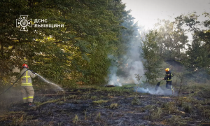 Фото: ДСНС Львівщини