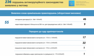 Звіт НАЗК за лютий 2019 року