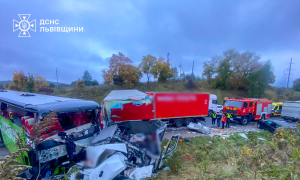 Фото: ДСНС Львівської області