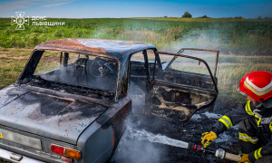 Фото: ДСНС Львівщини