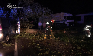 Фото: ДСНС Львівської області