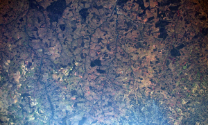 Пожежі в лісах Амазонії видно з космосу