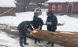 Фото: поліція Львівської області