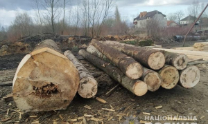 Фото: поліція Львівської області