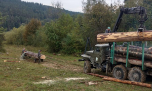 Фото поліція Львівської області