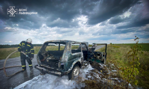 Фото: ДСНС Львівщини