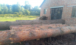 Фото поліція Львівської області