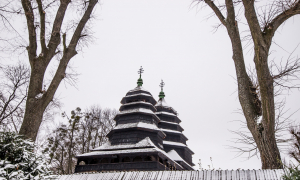 Чарівна зима у львівському скансені в передріздвяному часі. Фото Анна Джунківська, Гал-інфо