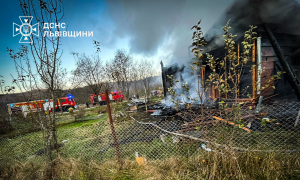 Фото: ДСНС Львівщини